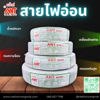 952 ANT สายไฟอ่อน